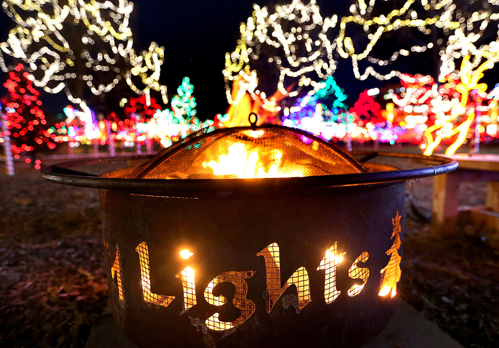 Rotary Lights 2020